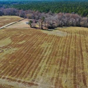 Photo #8 of Off Lee Farm Road, Arapahoe, NC 8.0 acres