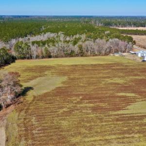 Photo #16 of Off Lee Farm Road, Arapahoe, NC 8.0 acres