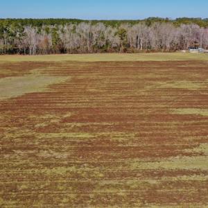 Photo #18 of Off Lee Farm Road, Arapahoe, NC 8.0 acres