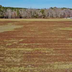 Photo #19 of Off Lee Farm Road, Arapahoe, NC 8.0 acres