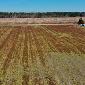 Photo #21 of Off Lee Farm Road, Arapahoe, NC 8.0 acres