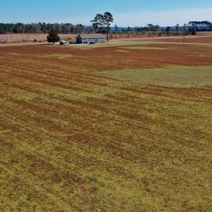 Photo #22 of Off Lee Farm Road, Arapahoe, NC 8.0 acres