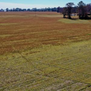 Photo #24 of Off Lee Farm Road, Arapahoe, NC 8.0 acres