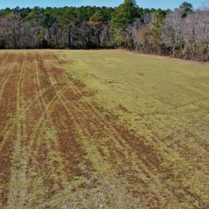 Photo #25 of Off Lee Farm Road, Arapahoe, NC 8.0 acres