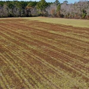 Photo #26 of Off Lee Farm Road, Arapahoe, NC 8.0 acres