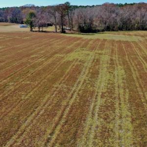 Photo #27 of Off Lee Farm Road, Arapahoe, NC 8.0 acres
