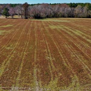 Photo #28 of Off Lee Farm Road, Arapahoe, NC 8.0 acres
