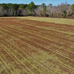 Photo #29 of Off Lee Farm Road, Arapahoe, NC 8.0 acres