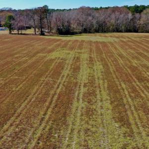 Photo #30 of Off Lee Farm Road, Arapahoe, NC 8.0 acres