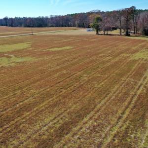 Photo #31 of Off Lee Farm Road, Arapahoe, NC 8.0 acres