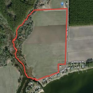 Photo #1 of Off Lee Farm Road, Oriental, NC 74.5 acres