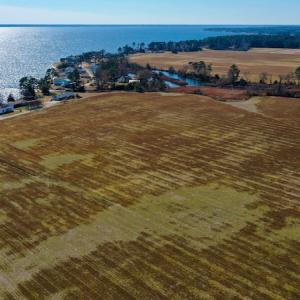 Photo #4 of Off Lee Farm Road, Oriental, NC 74.5 acres