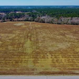 Photo #7 of Off Lee Farm Road, Oriental, NC 74.5 acres