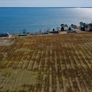 Photo #8 of Off Lee Farm Road, Oriental, NC 74.5 acres