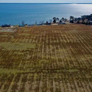 Photo #9 of Off Lee Farm Road, Oriental, NC 74.5 acres