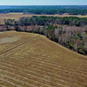 Photo #10 of Off Lee Farm Road, Oriental, NC 74.5 acres