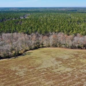 Photo #11 of Off Lee Farm Road, Oriental, NC 74.5 acres