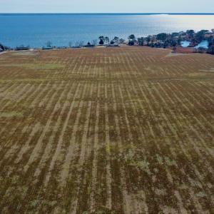 Photo #12 of Off Lee Farm Road, Oriental, NC 74.5 acres