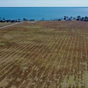 Photo #13 of Off Lee Farm Road, Oriental, NC 74.5 acres