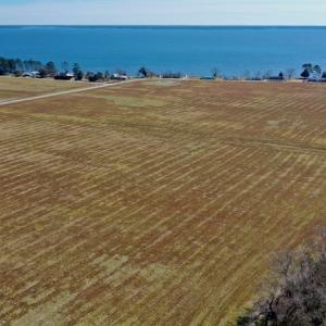 Photo #14 of Off Lee Farm Road, Oriental, NC 74.5 acres