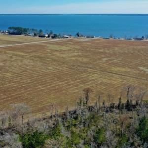 Photo #15 of Off Lee Farm Road, Oriental, NC 74.5 acres