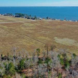 Photo #16 of Off Lee Farm Road, Oriental, NC 74.5 acres
