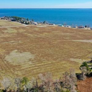 Photo #18 of Off Lee Farm Road, Oriental, NC 74.5 acres