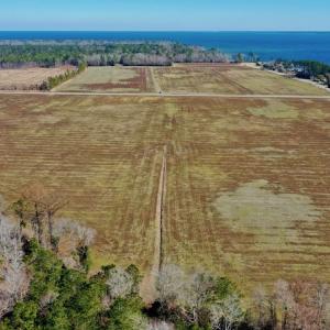 Photo #19 of Off Lee Farm Road, Oriental, NC 74.5 acres