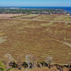 Photo #20 of Off Lee Farm Road, Oriental, NC 74.5 acres