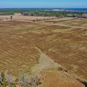 Photo #21 of Off Lee Farm Road, Oriental, NC 74.5 acres