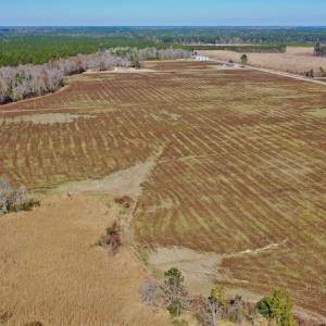 Photo #22 of Off Lee Farm Road, Oriental, NC 74.5 acres