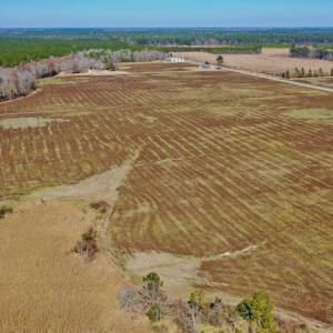 Photo #23 of Off Lee Farm Road, Oriental, NC 74.5 acres