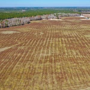 Photo #24 of Off Lee Farm Road, Oriental, NC 74.5 acres