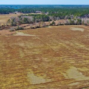 Photo #26 of Off Lee Farm Road, Oriental, NC 74.5 acres