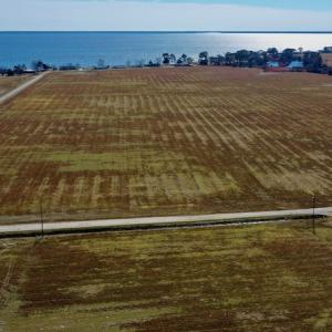 Photo #27 of Off Lee Farm Road, Oriental, NC 74.5 acres