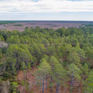 Photo #10 of SOLD property in Off Bivens Bridge Road, Elizabethtown, NC 2.0 acres