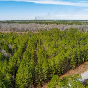 Photo #11 of SOLD property in Off Bivens Bridge Road, Elizabethtown, NC 2.0 acres