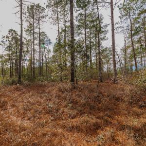 Photo #15 of SOLD property in Off Bivens Bridge Road, Elizabethtown, NC 2.0 acres