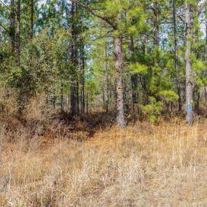 Photo #19 of SOLD property in Off Bivens Bridge Road, Elizabethtown, NC 2.0 acres