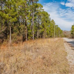 Photo #20 of SOLD property in Off Bivens Bridge Road, Elizabethtown, NC 2.0 acres