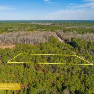 Photo #4 of SOLD property in Off Bivens Bridge Road, Elizabethtown, NC 2.0 acres