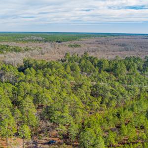 Photo #6 of SOLD property in Off Bivens Bridge Road, Elizabethtown, NC 2.0 acres