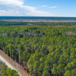 Photo #8 of SOLD property in Off Bivens Bridge Road, Elizabethtown, NC 2.0 acres
