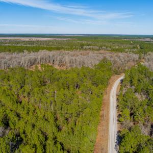 Photo #9 of SOLD property in Off Bivens Bridge Road, Elizabethtown, NC 2.0 acres
