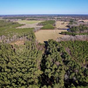 Photo #11 of SOLD property in Off Pleasant Hill Road, Rocky Mount, NC 145.0 acres