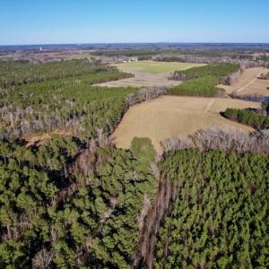 Photo #12 of SOLD property in Off Pleasant Hill Road, Rocky Mount, NC 145.0 acres