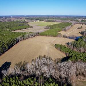 Photo #13 of SOLD property in Off Pleasant Hill Road, Rocky Mount, NC 145.0 acres