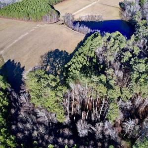 Photo #15 of SOLD property in Off Pleasant Hill Road, Rocky Mount, NC 145.0 acres