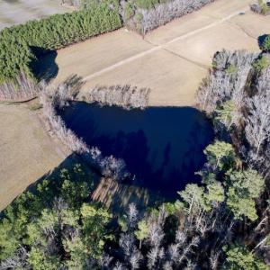 Photo #16 of SOLD property in Off Pleasant Hill Road, Rocky Mount, NC 145.0 acres