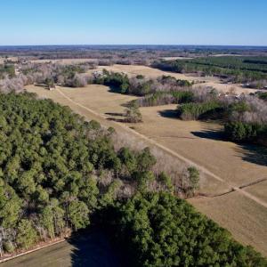 Photo #3 of SOLD property in Off Pleasant Hill Road, Rocky Mount, NC 145.0 acres